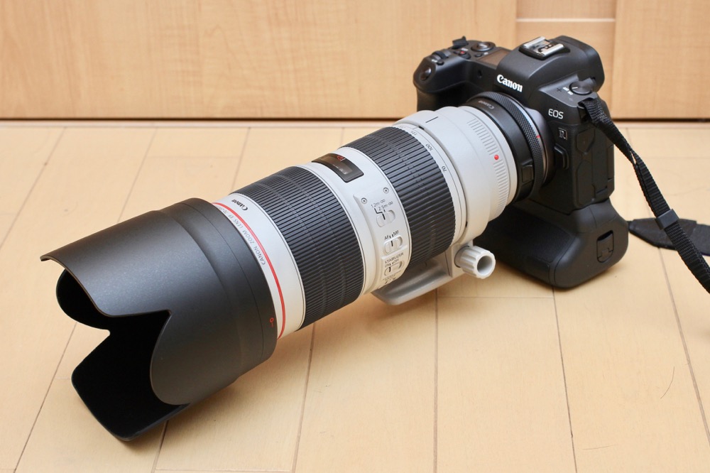 Canon EF70-200mm F2.8L IS III USM　モニター１４