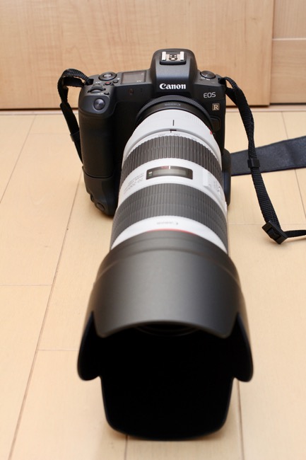 Canon EF70-200mm F2.8L IS III USM　モニター１５